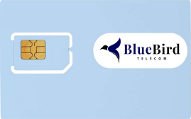 BBT Sim Card